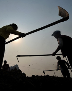 白风明的种田梦
