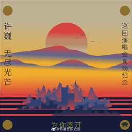 为你盛开—许巍《无尽光芒》巡回演唱会现场纪念